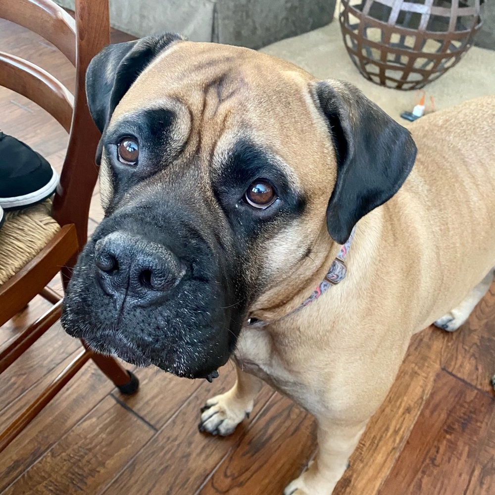 Meet your Posher, Steph